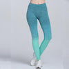 Women's Fitness Leggings