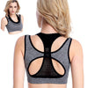 Shockproof Sports Bra